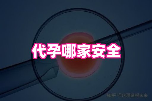 国际助孕网 4